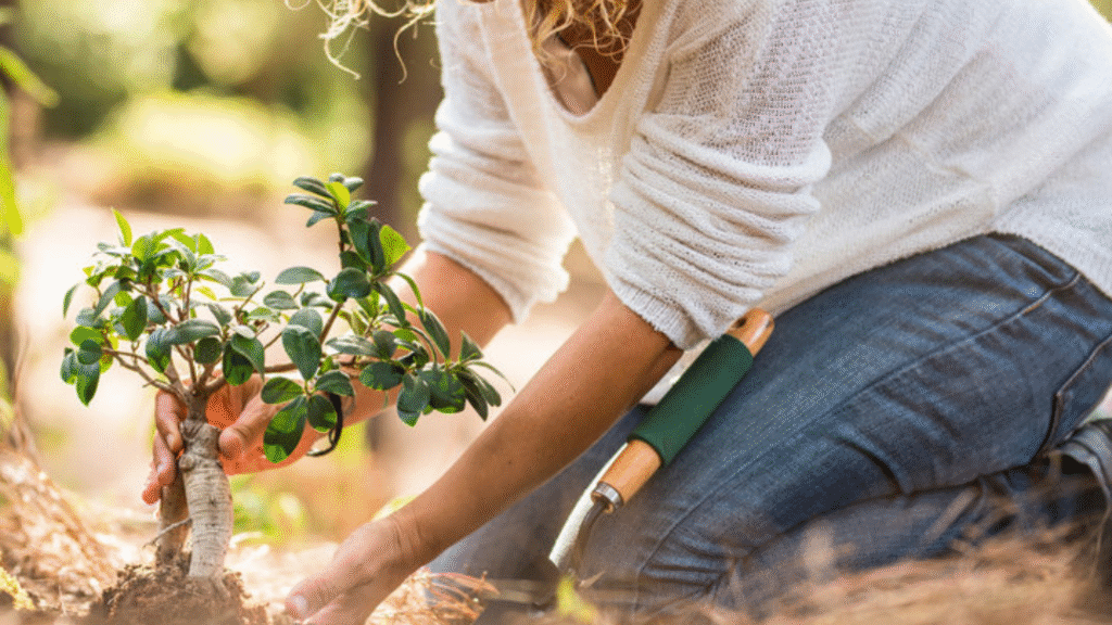 reflexão sobre recomeço e coragem